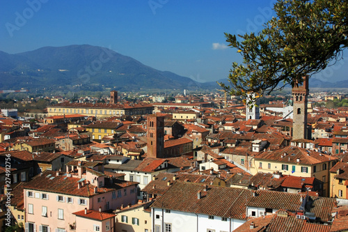 View over the roofs of houses in Lucca, Italy © kos1976