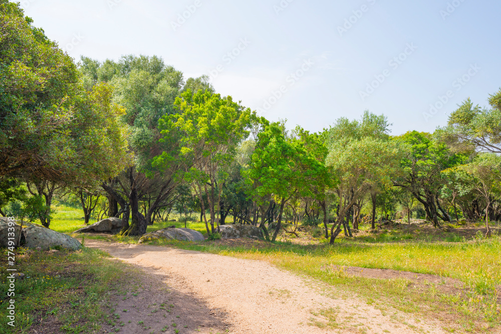 Scenic landscape of green hills and rocky mountains of the island of Sardinia in spring