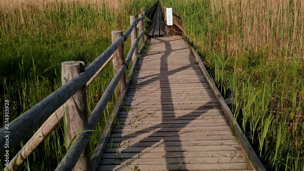 Narrow direction pathway bridge amidst rural reeds of Kanieris landscape, gimbal shot Narrow direction pathway bridge amidst rural reeds of Kanieris landscape, gimbal shot