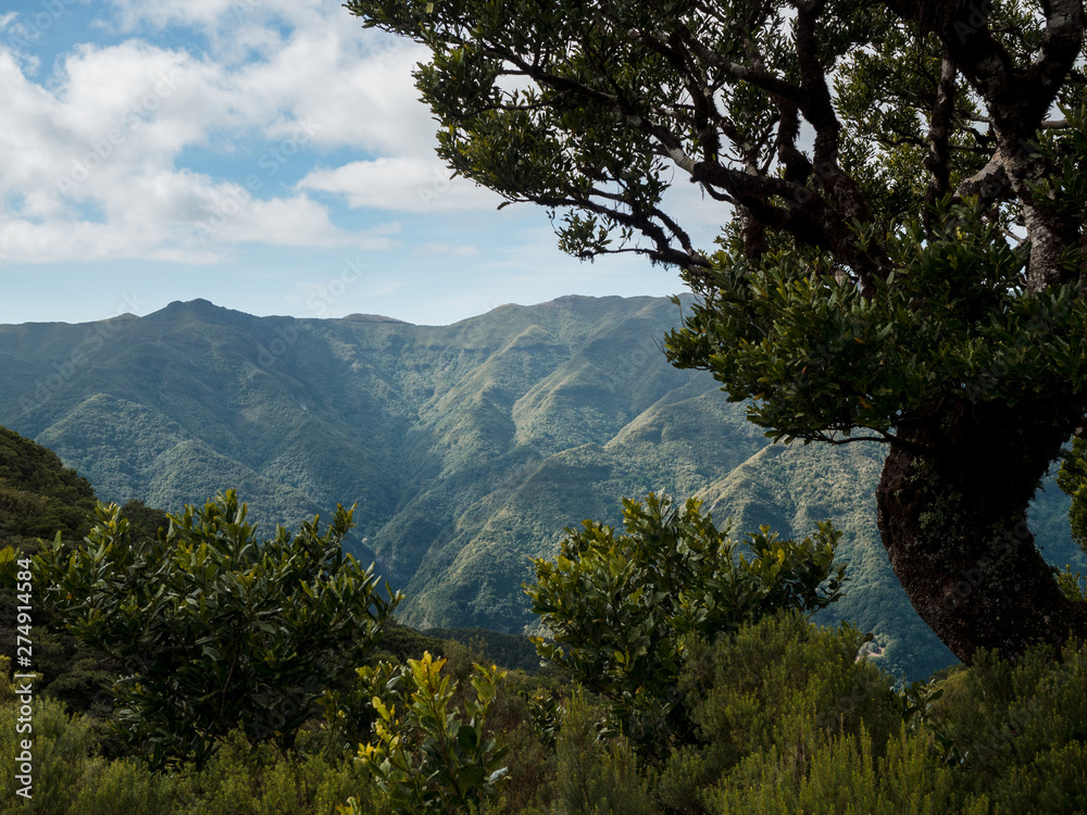 Madeira - highland landscape