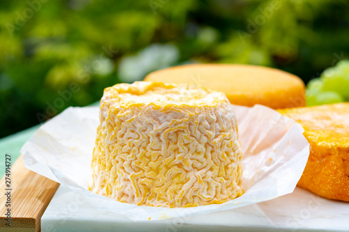 French cheeses collection, Langres and Le peche des bons peres cheeses served on white marble plate outdoor in green garden photo