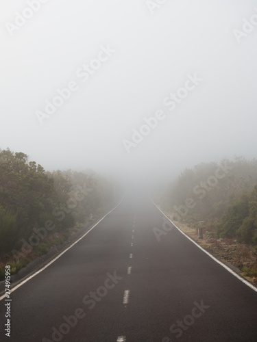 road in the fog