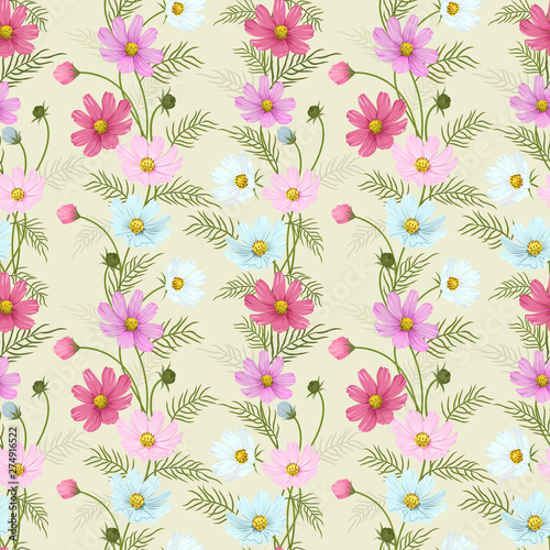 Colorful cosmos flowers seamless pattern.
