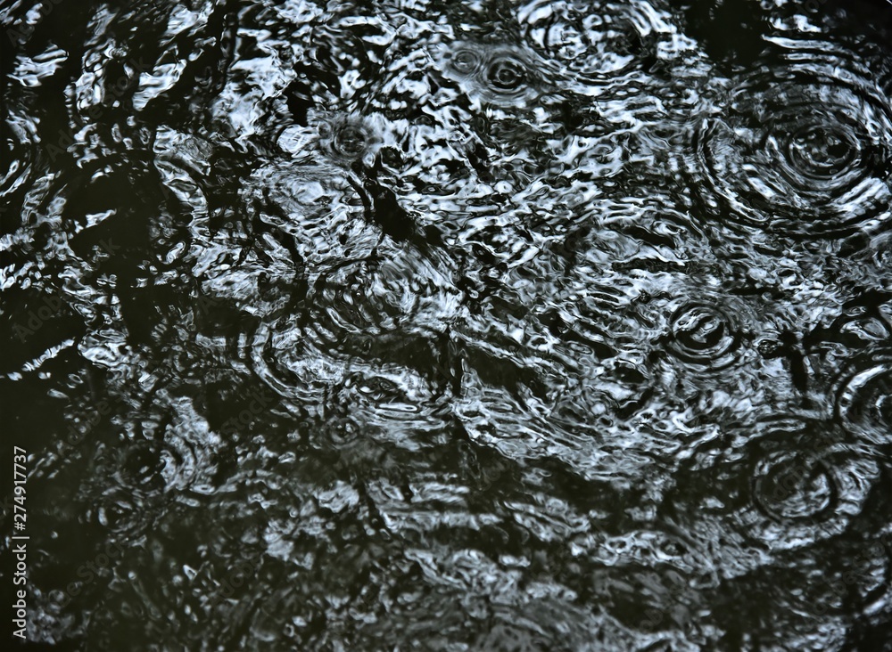 Obraz premium pattern of raindrops 