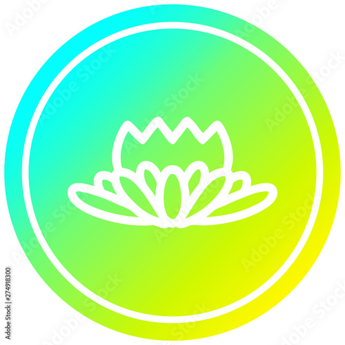 lotus flower circular in cold gradient spectrum
