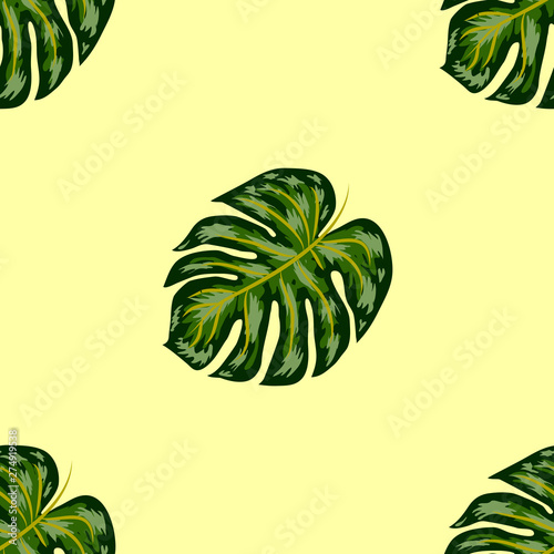 Tropical Pattern. Seamless Texture with Bright Hand Drawn Leaves of Monstera. photo