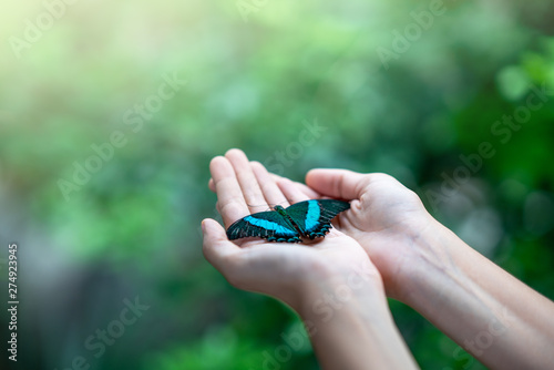 Canvas Print Butterfly on woman's hand against natural green background.