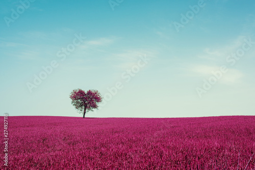 Abstract field with heart shape tree under blue sky. Beauty nature. Valentine concept background photo