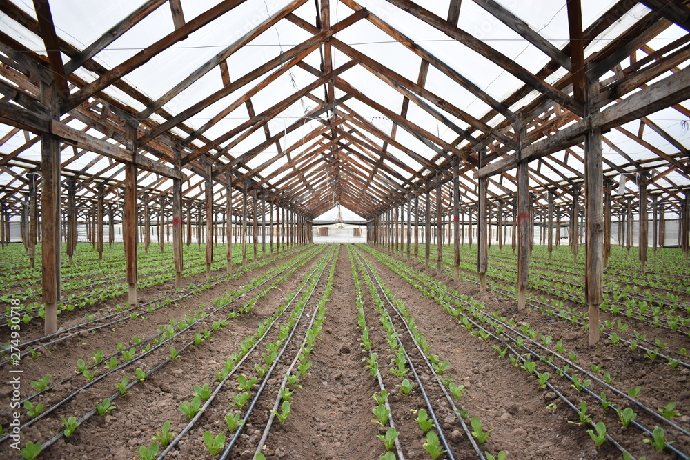 Construcción agrícola Construcción agrícola
