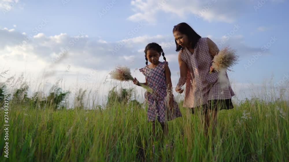 Asian families, mothers and daughters are in the flower field, together with the flower collection together happily. Asian families, mothers and daughters are in the flower field, together with the flower collection together happily.