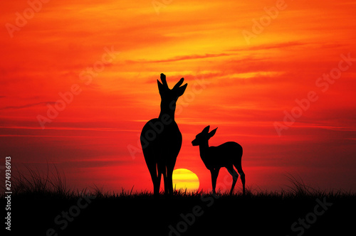 illustration of deer silhouette at sunset