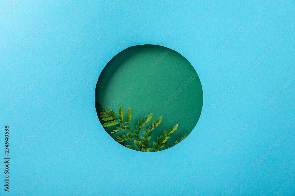 geometric background with green fern leaf in round hole on blue paper - obrazy, fototapety, plakaty 