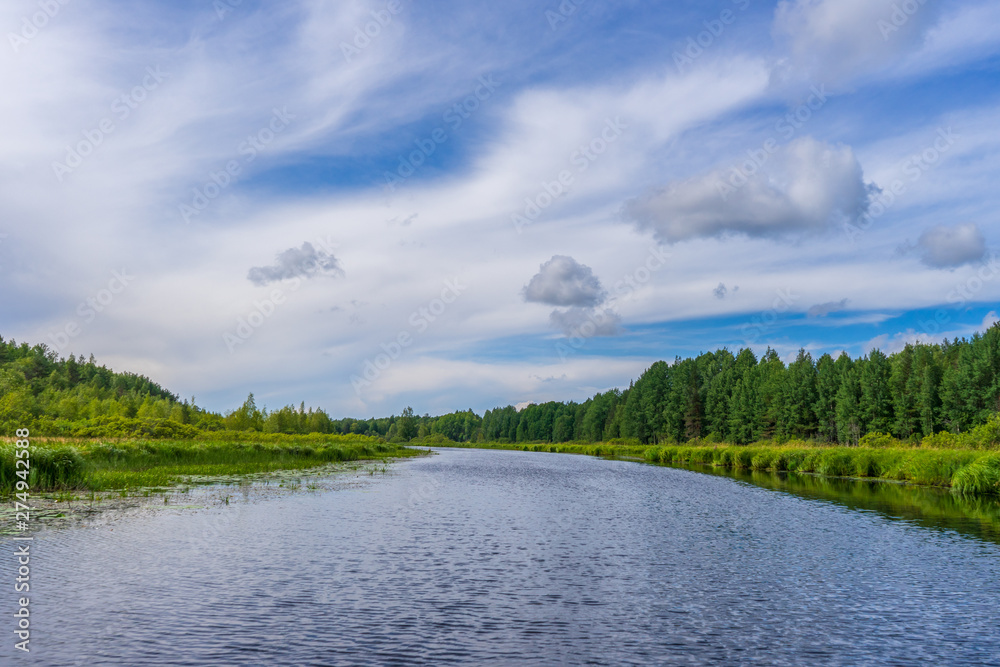 Picturesque summer landscape with northern river and forest in summer cloudy day. Travelling and discovering distant places of Earth. View from floating boat. Chernaya river, Karelia, Russia