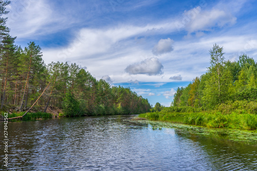 Picturesque summer landscape with northern river and forest in summer cloudy day. Travelling and discovering distant places of Earth. View from floating boat. Chernaya river  Karelia  Russia