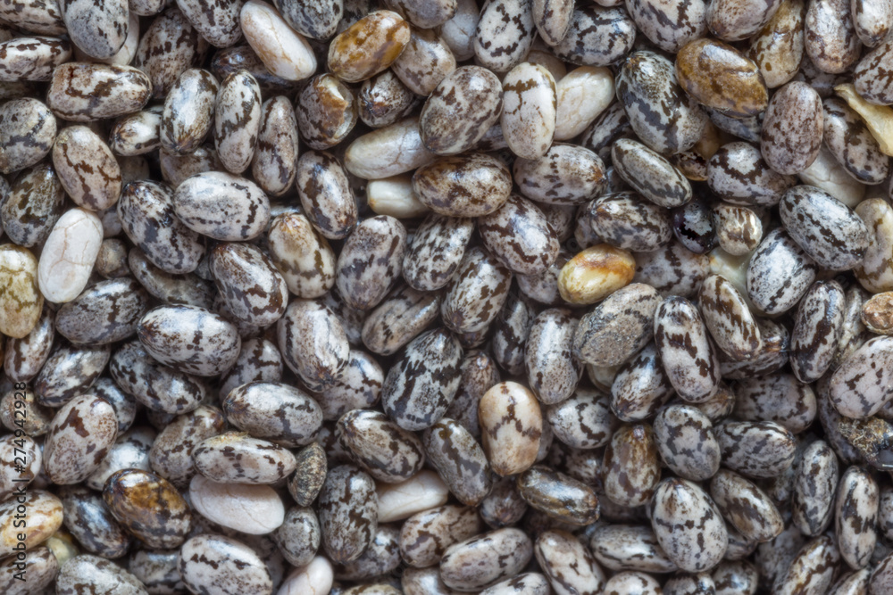 close up of uncooked chia seeds background close up of uncooked chia seeds background