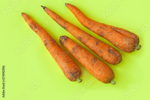 Ugly food. Deformed organic carrots on the pastel yellow background. Bright colors, copy space.