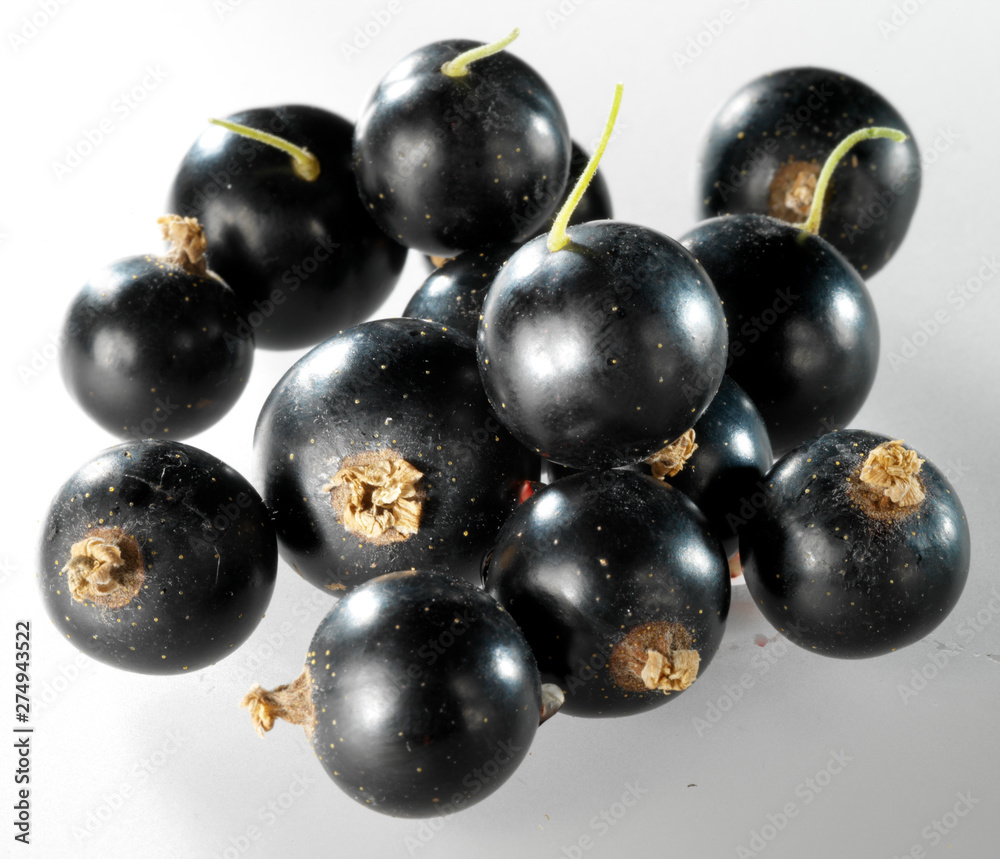 schwarze Johannisbeere schwarze Johannisbeere
