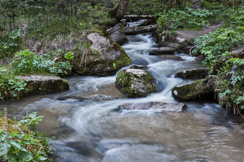 Fototapeta Naklejka Na Ścianę i Meble -  mountain river in the forest