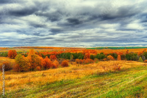 Picturesque autumn landscape in green and yellow colors. Panoramic view from hill to lowland with grove, village and field in cloudy day. Colorful autumnal nature, beautiful natural background