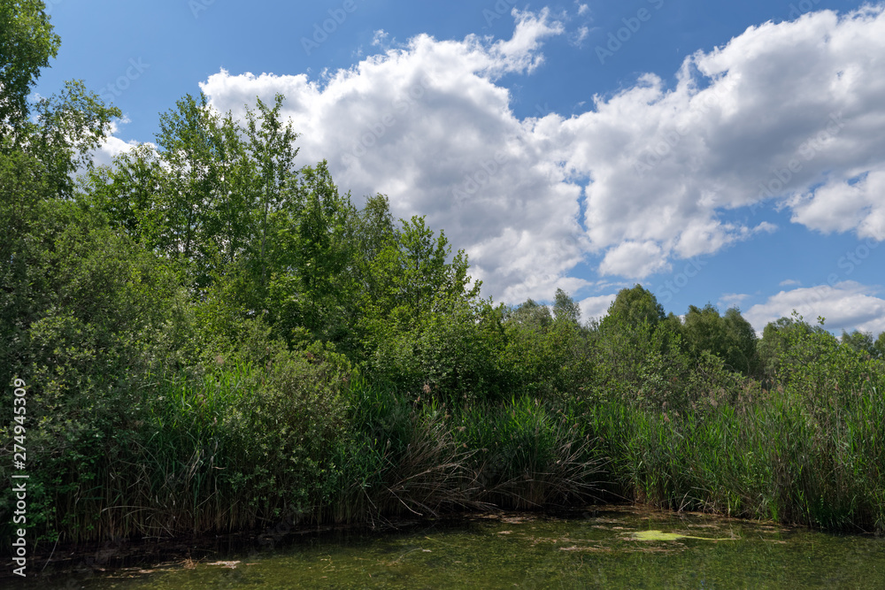 Episy  swamp nature resrve in the French Gâtinais regional nature park