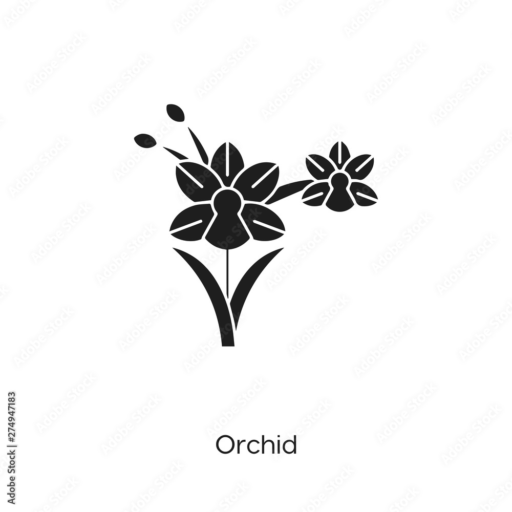 orchid icon vector symbol