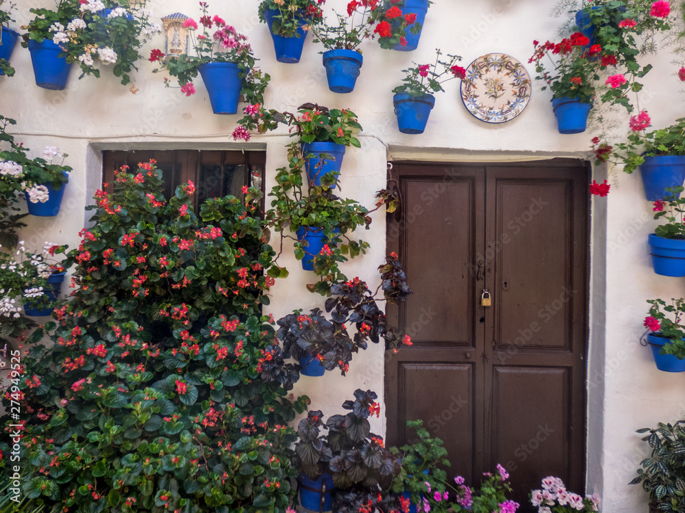 Traditional flower-decorated patio in Сordoba, Spain