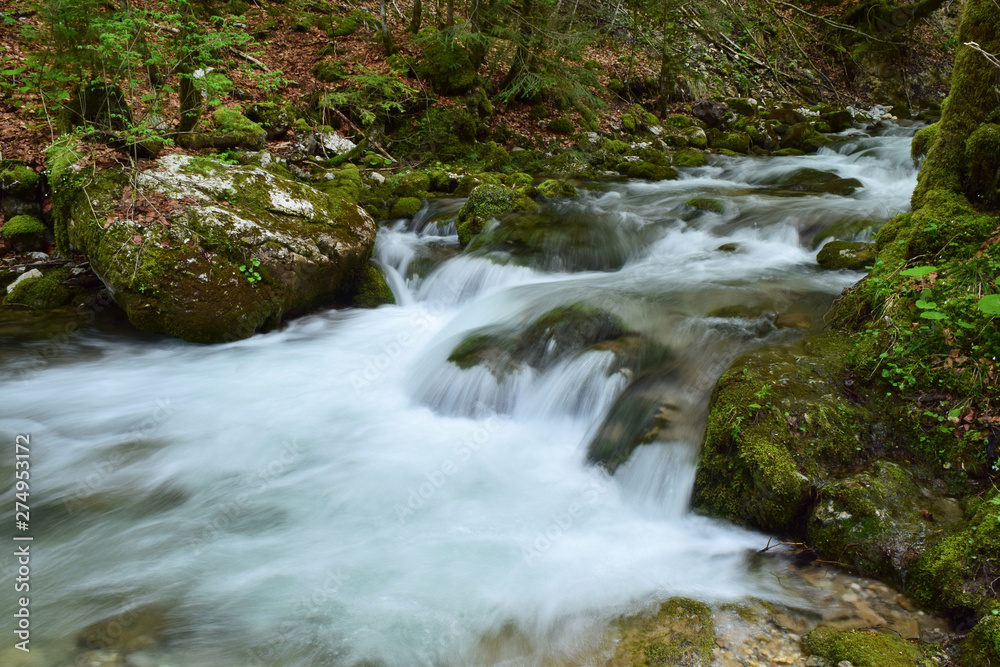 Le Guiers Mort dans le vallon de Perquelin