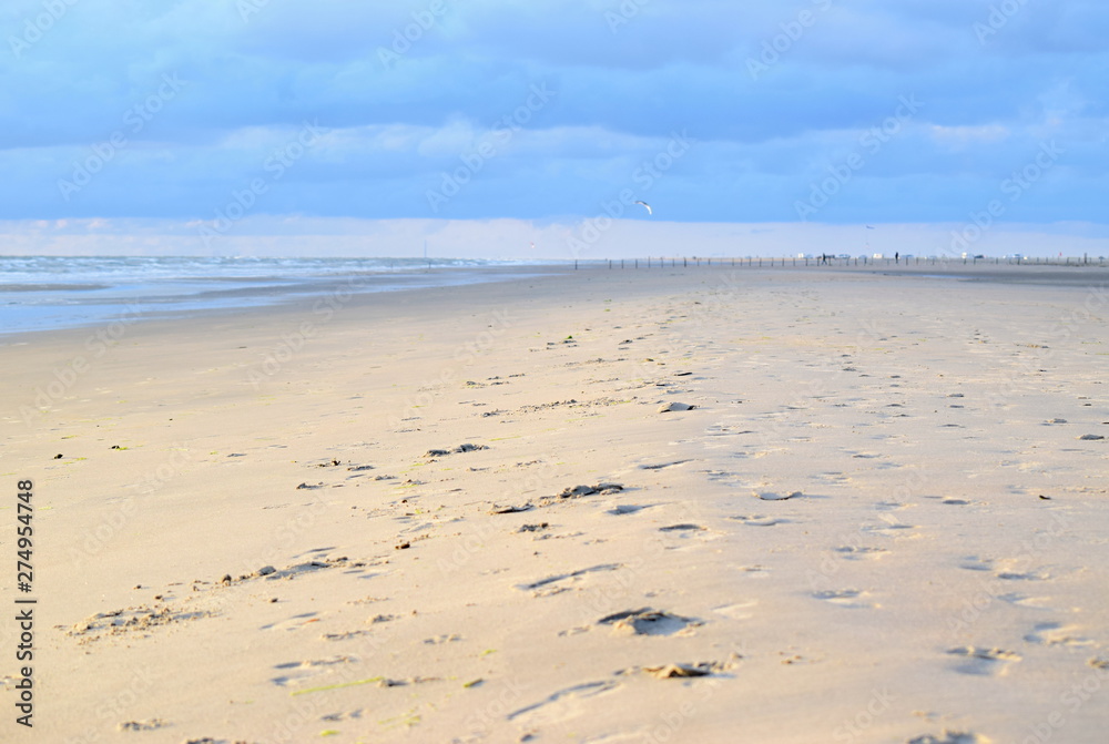 Nordseestrand - Eindrücke und Momente Juni 2019 Nordseestrand - Eindrücke und Momente Juni 2019
