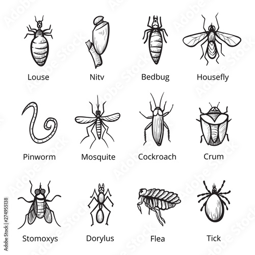 Insect parasite icon set, bugs with names
