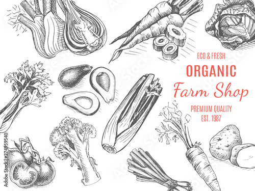Organic farm shop. Vector sketch of vegetables.