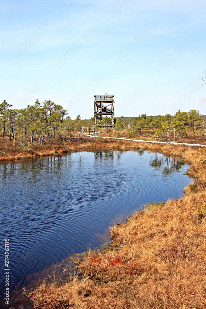Great Ķemeri Bog in Ķemeri National Park in Latvia