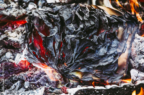 Close up view of open burned book with charred crumpled paper sheets. The end concept. © FotoHelin