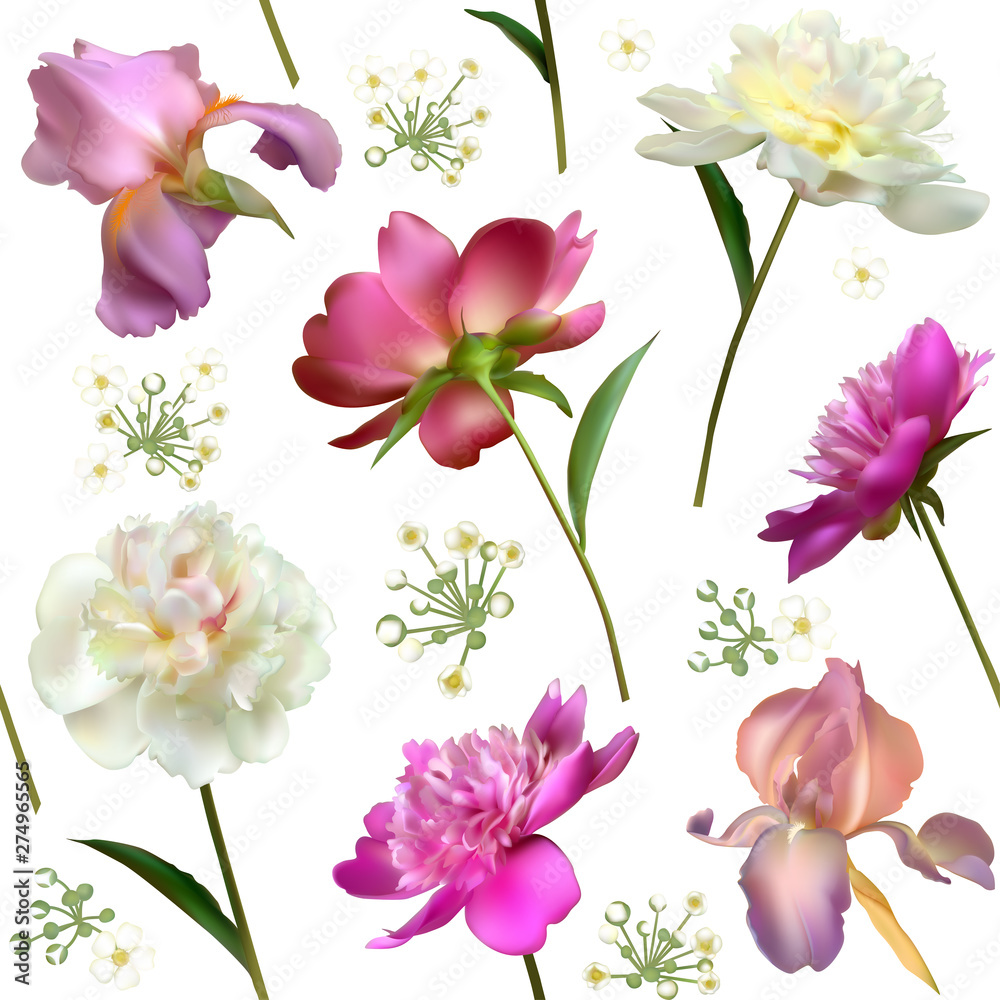 Peonies. Seamless pattern. Irises. Flowers. Floral background. Leaves. Pink. White. Color. 