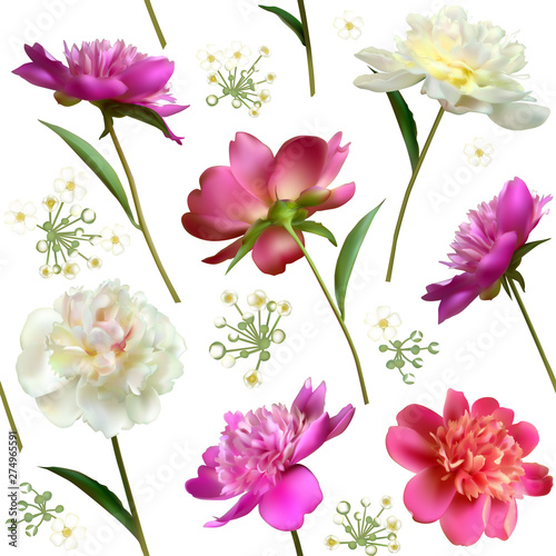Fototapeta Naklejka Na Ścianę i Meble -  Peonies. Seamless pattern. Flowers. Floral background. Leaves. Petals. Pink.  White. Color.