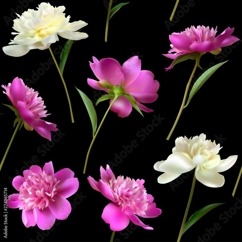 Peonies. Seamless pattern. Flowers. Floral background. Leaves. Petals. Pink. White. Dark backdrop. Color.