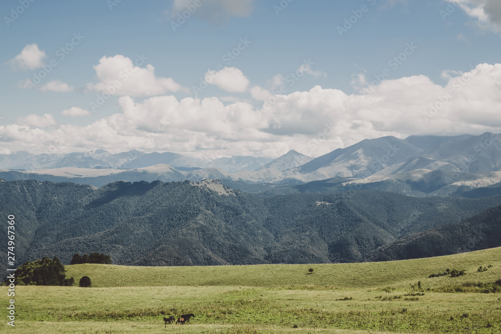 Panorama view of mountains and valley scenes in national park Dombay Panorama view of mountains and valley scenes in national park Dombay