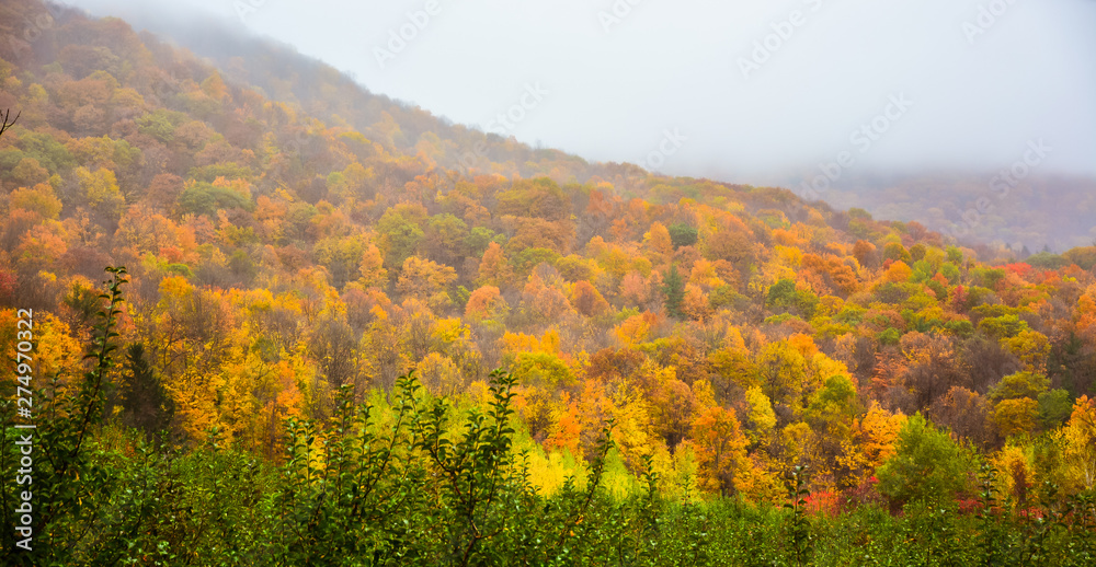 Autumn Scenery - Bennington, Vermont
