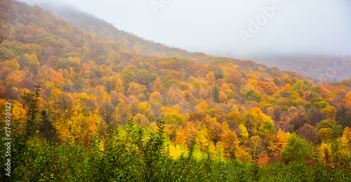 Autumn Scenery - Bennington  Vermont