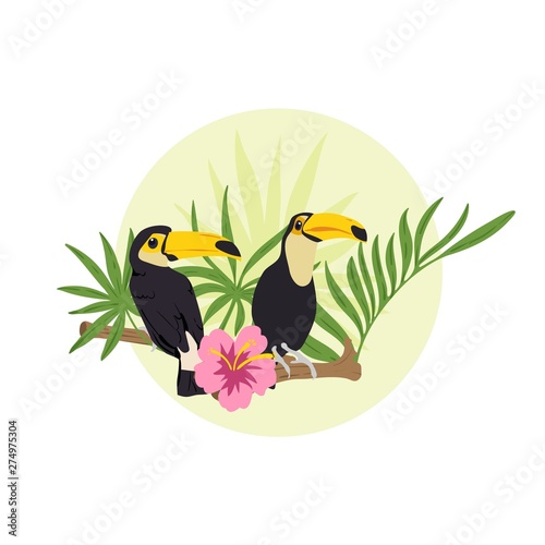 Couple of toucans sitting on the branch in the jungle. Vector illustration