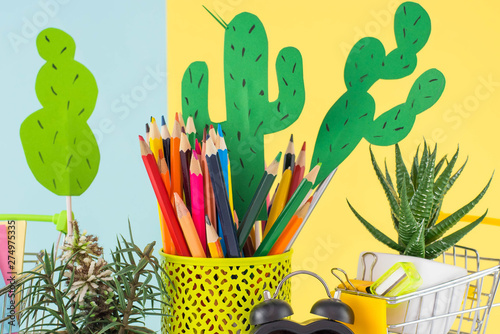 Education, Back to School, Shopping. Cactus party. Chancellery isolated on yellow and blue background. Close up. photo