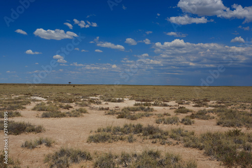 Etosha panorama