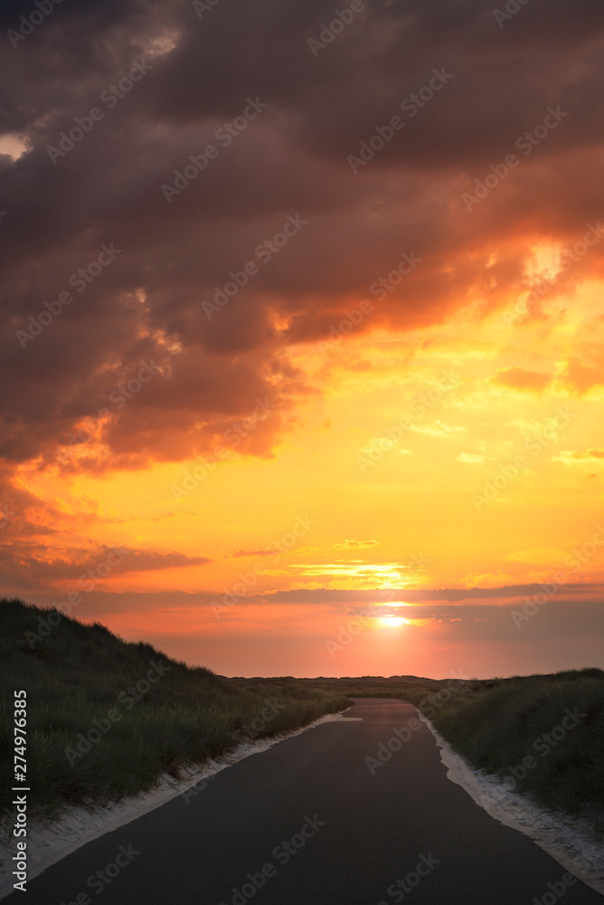 Empty road through dunes at golden hour