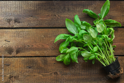 basil (flavored green ingredient used for cooking). food background. top view. copy space
