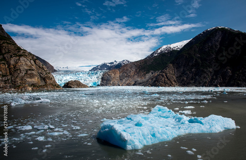 Tracy Arm Glacier, Glaciers of Alaska, Fjords of Alaska, Tourism in Alaska, Icebergs and glaciers, Icebergs in lake photo