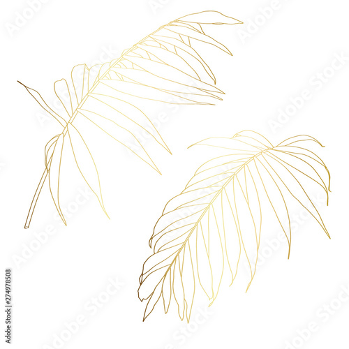 Hand drawn  tropical summer design element: golden palm tree leaves in silhouette, line art. 