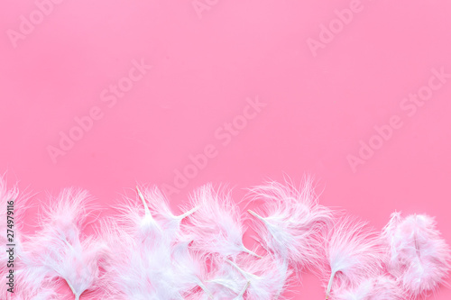 abstract pattern with bright bird feathers frame on pink background top view space for text