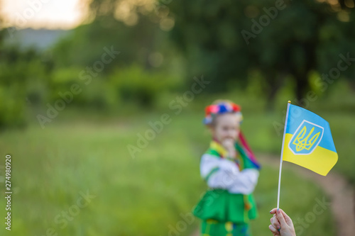 Flag of Ukraine. Little girl, wreath, embroidery, Ukrainian national costume. On the background of a green field