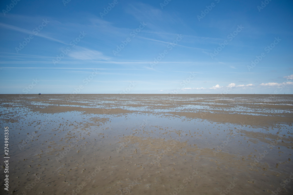 North Sea Coast Mudflat