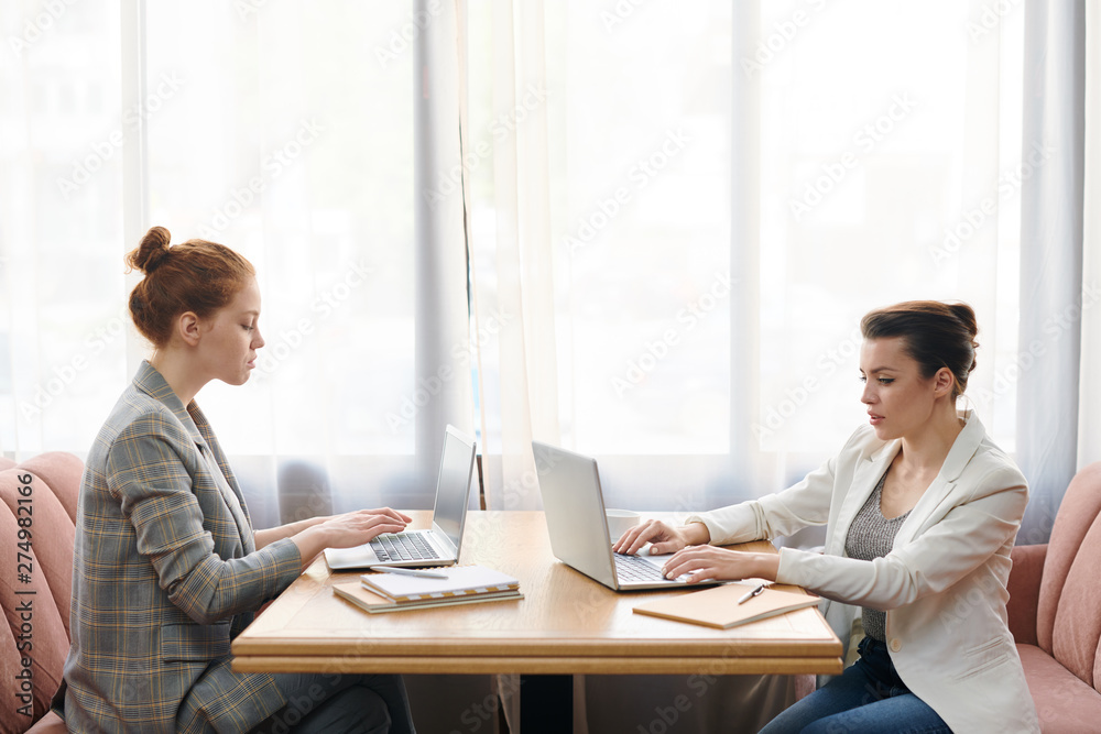 Modern business ladies working in cafe Modern business ladies working in cafe