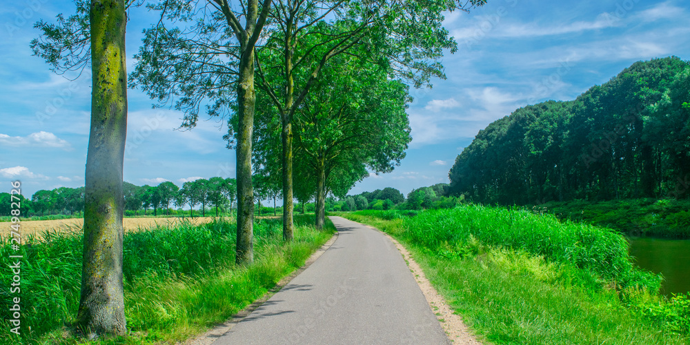 Dutch meadow panoramic landscape Dutch meadow panoramic landscape